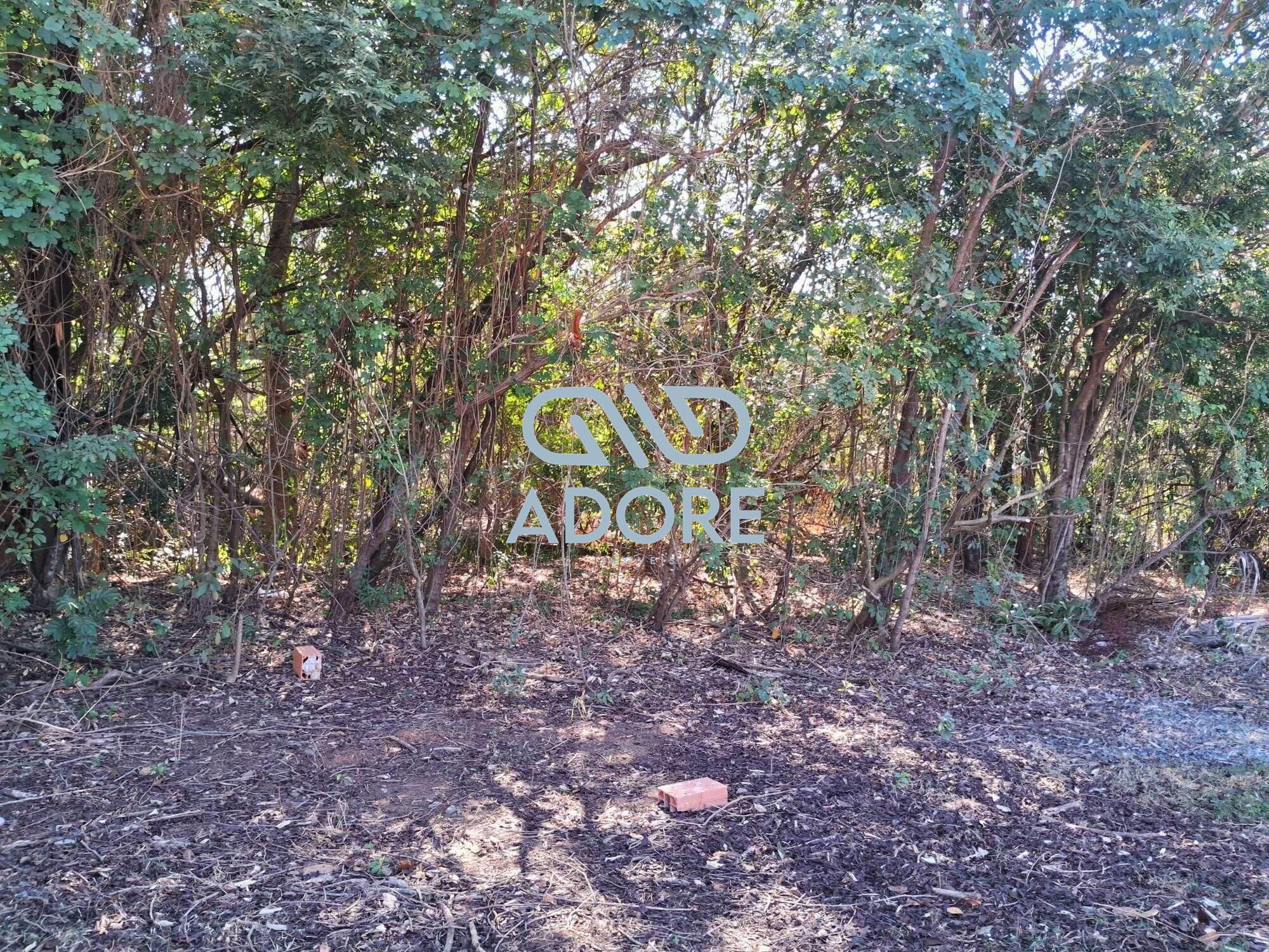 Terreno à venda no Jardim Santa Monica: 