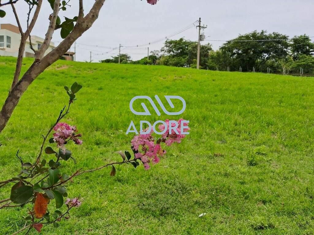 Terreno à venda no Condomínio Mirante dos Ipês: 