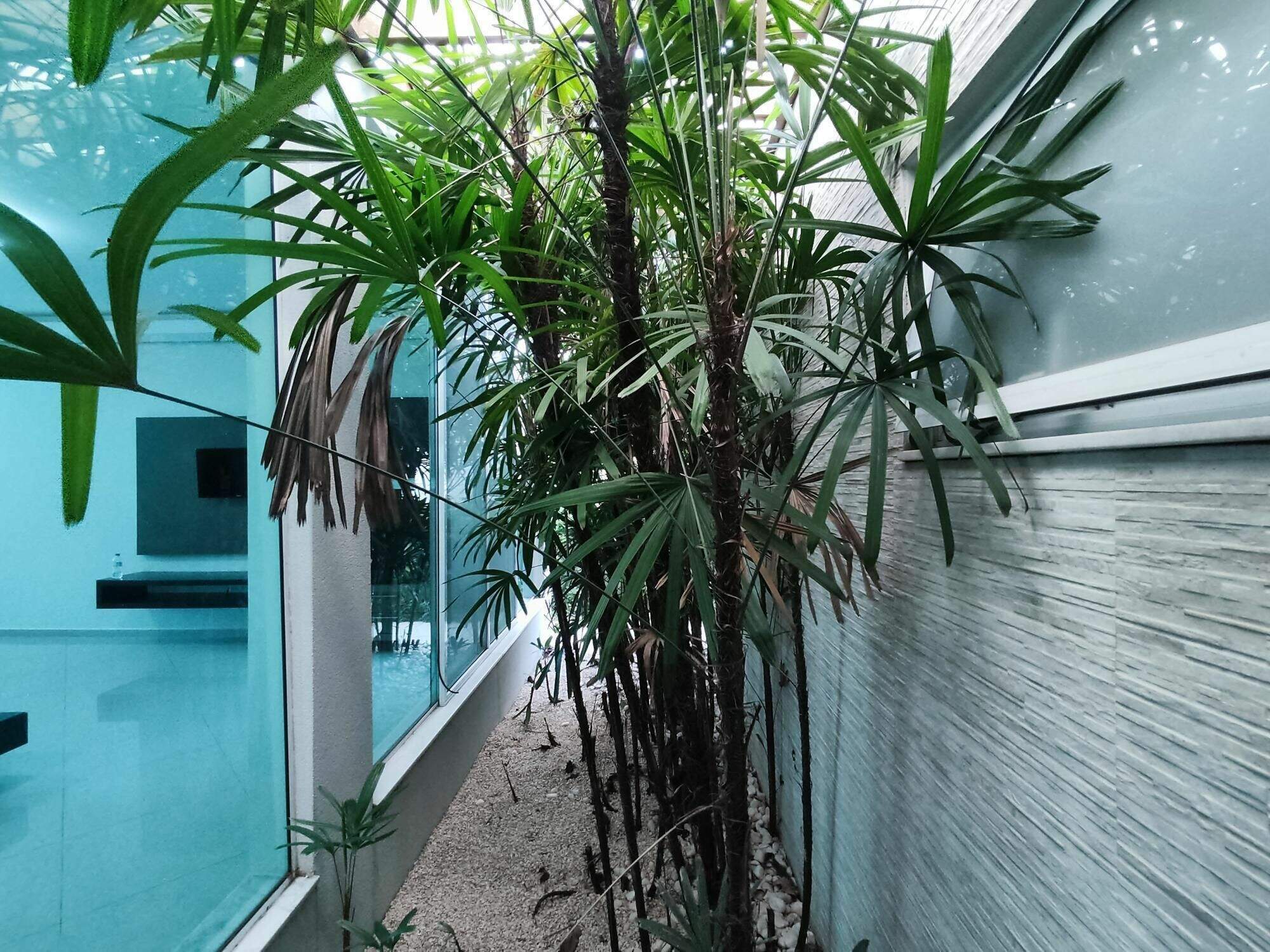 Casa de Condomínio para aluguel no Condomínio Palmeiras Imperiais: 