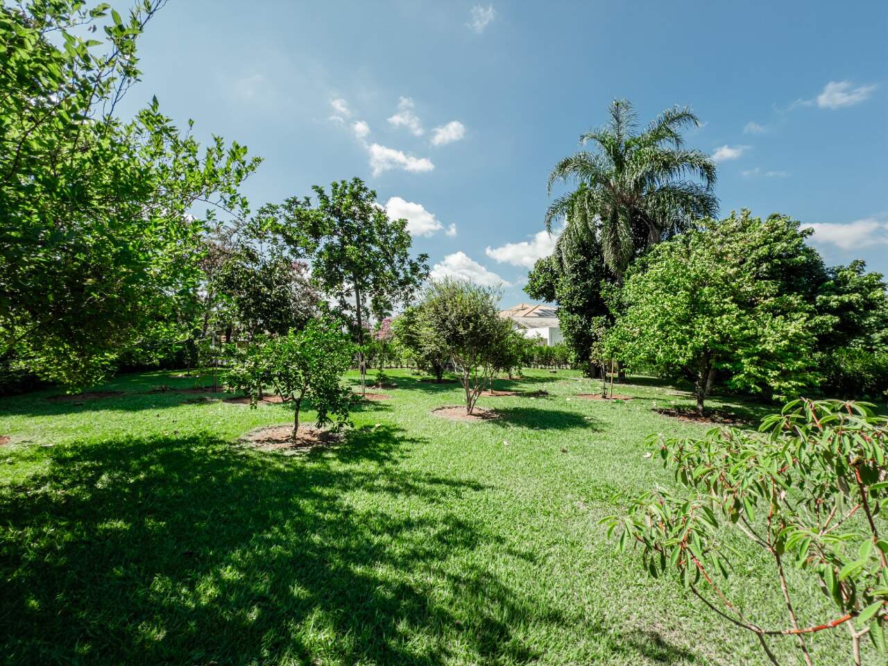 Casa de Condomínio à venda no Condomínio Monte Belo: 