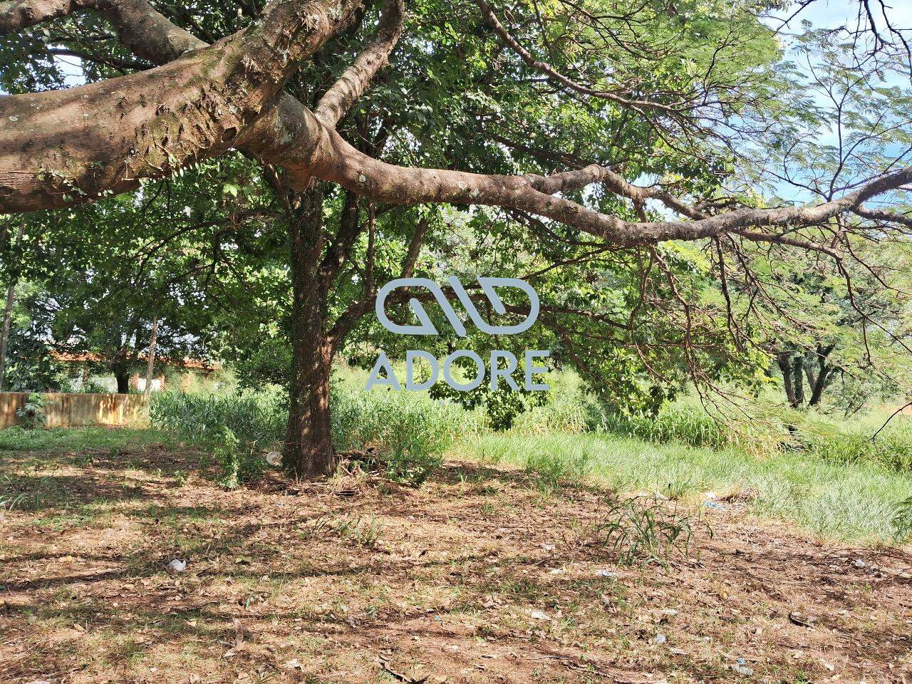 Área à venda no São Luiz: 