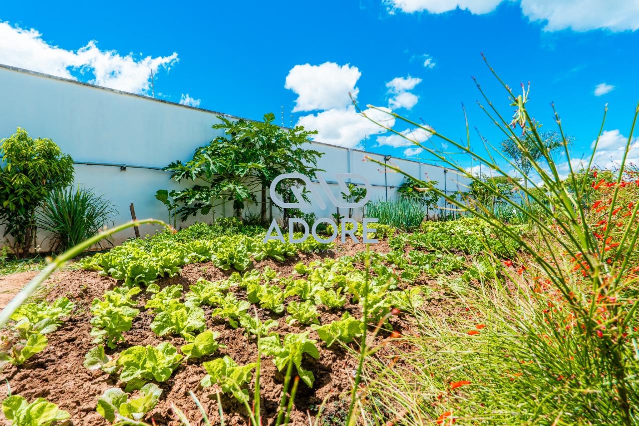 Casa de Condomínio à venda no Condomínio Terras de Mont Serrat: 