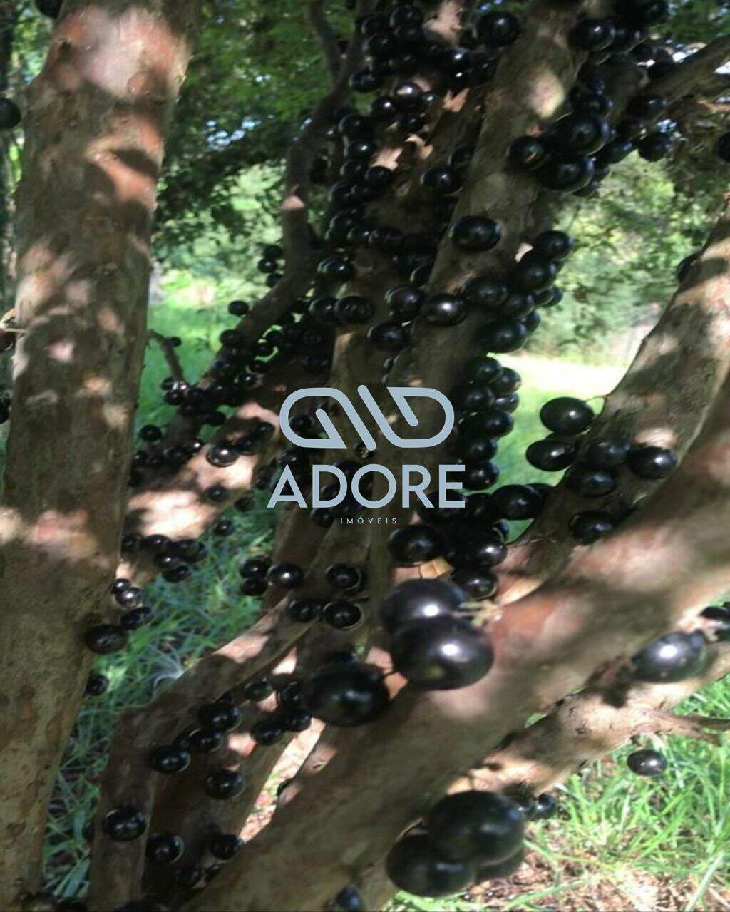 Terreno à venda no Condomínio Terras de Santa Rosa: