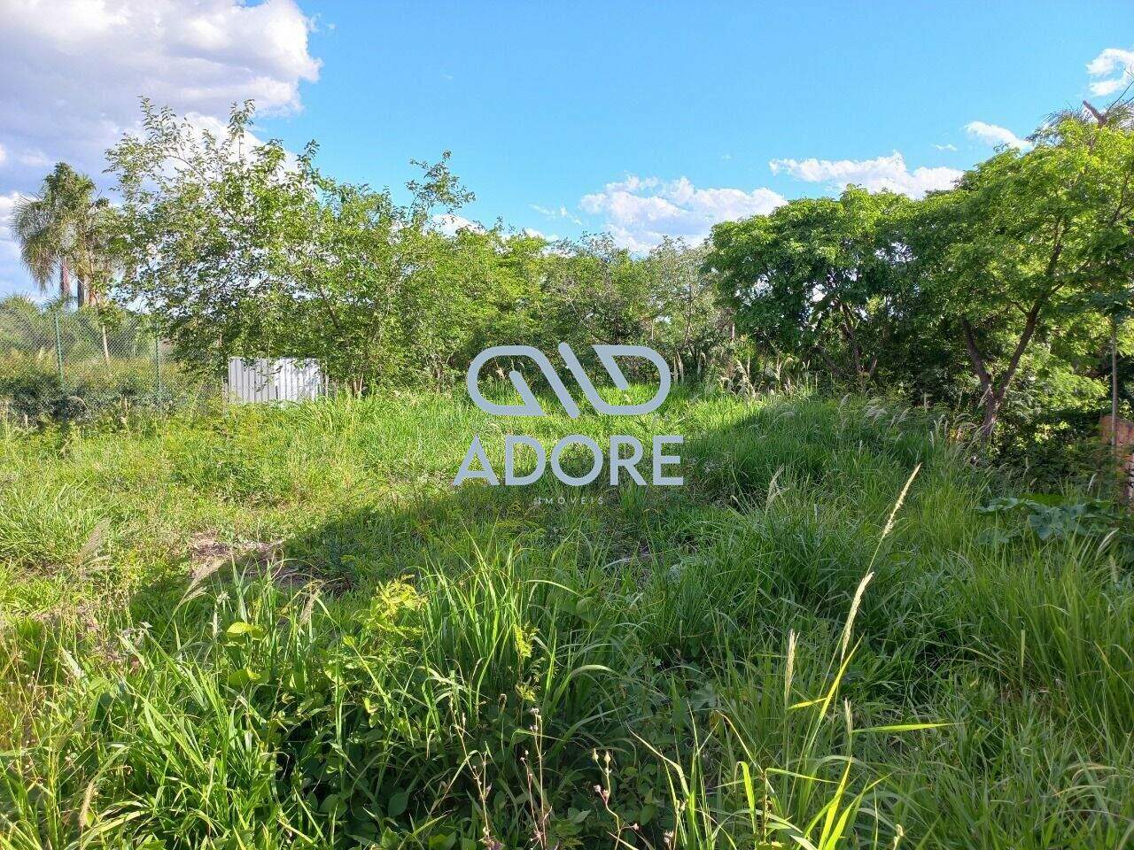 Terreno à venda no Nenhum: 