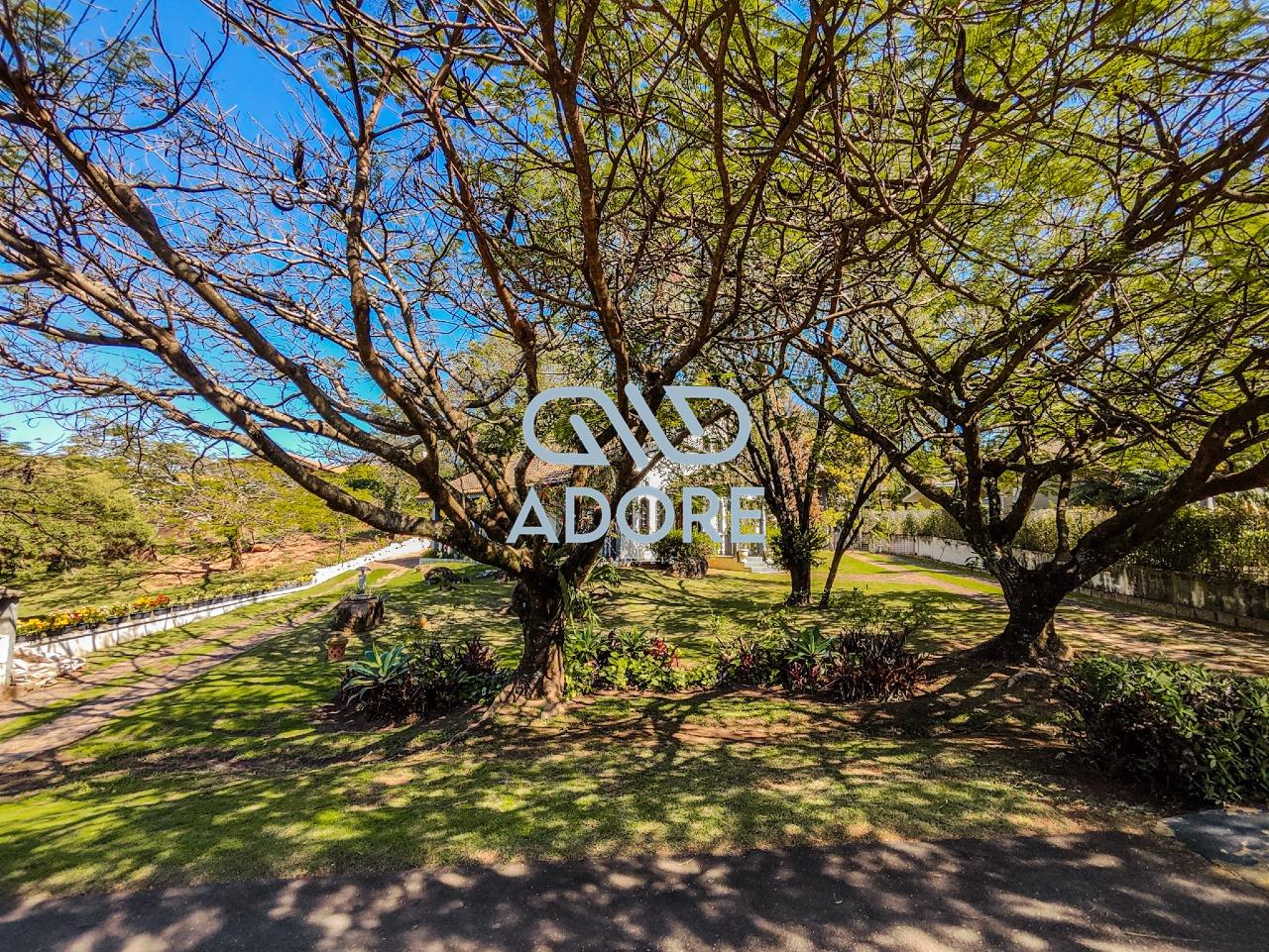 Casa de Condomínio à venda no Condomínio Monte Belo: 