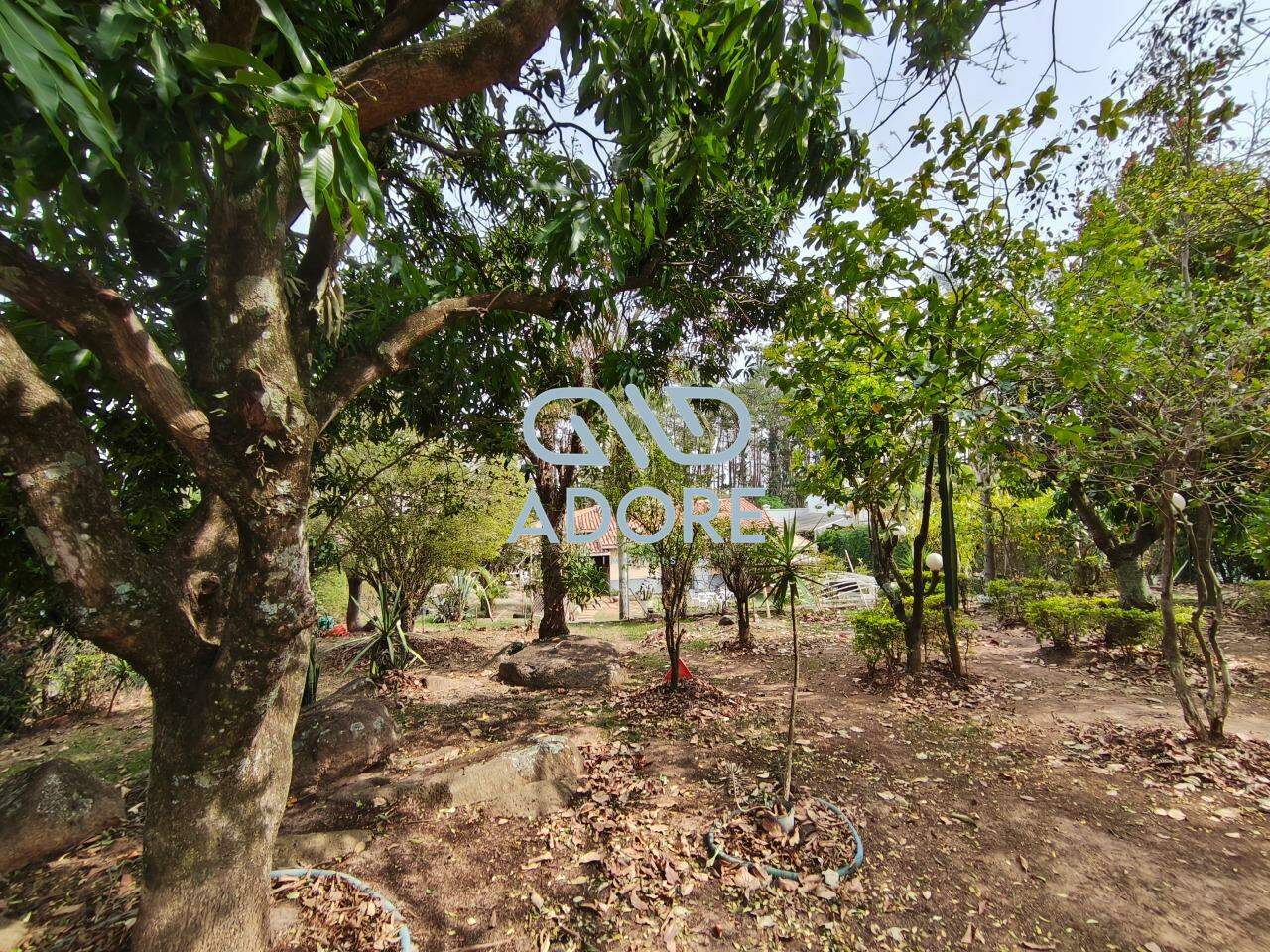 Casa de Condomínio à venda no Condomínio Monte Belo: 