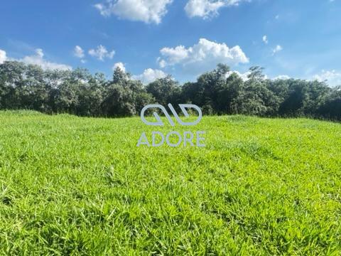 Terreno à venda no Condomínio Terras de São José II : 