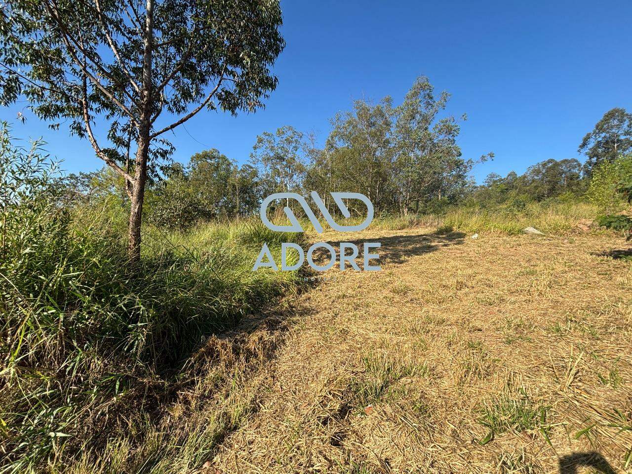 Terreno à venda no Condomínio Terras de São José II : 