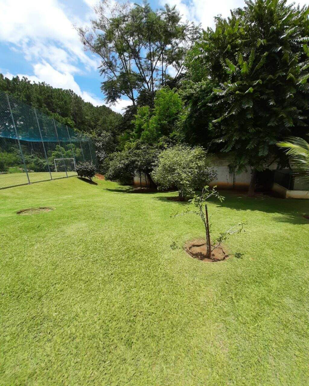 Casa de Condomínio à venda no Condomínio Chácara Flora : 