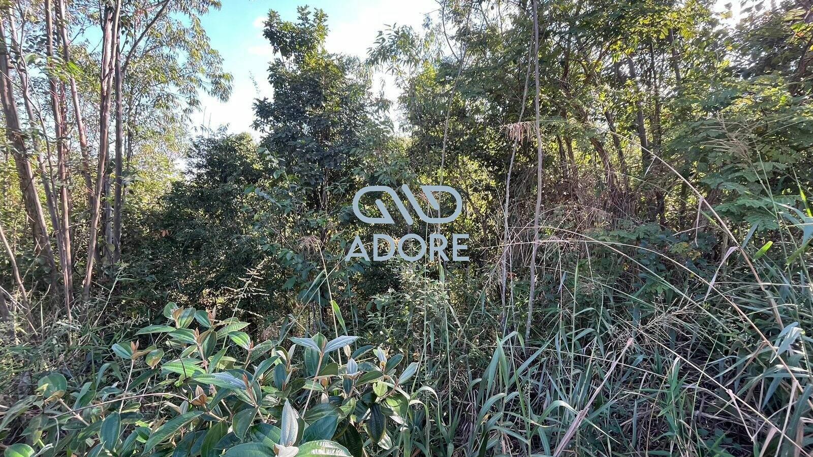 Terreno à venda no Condomínio Terras de São José II : 