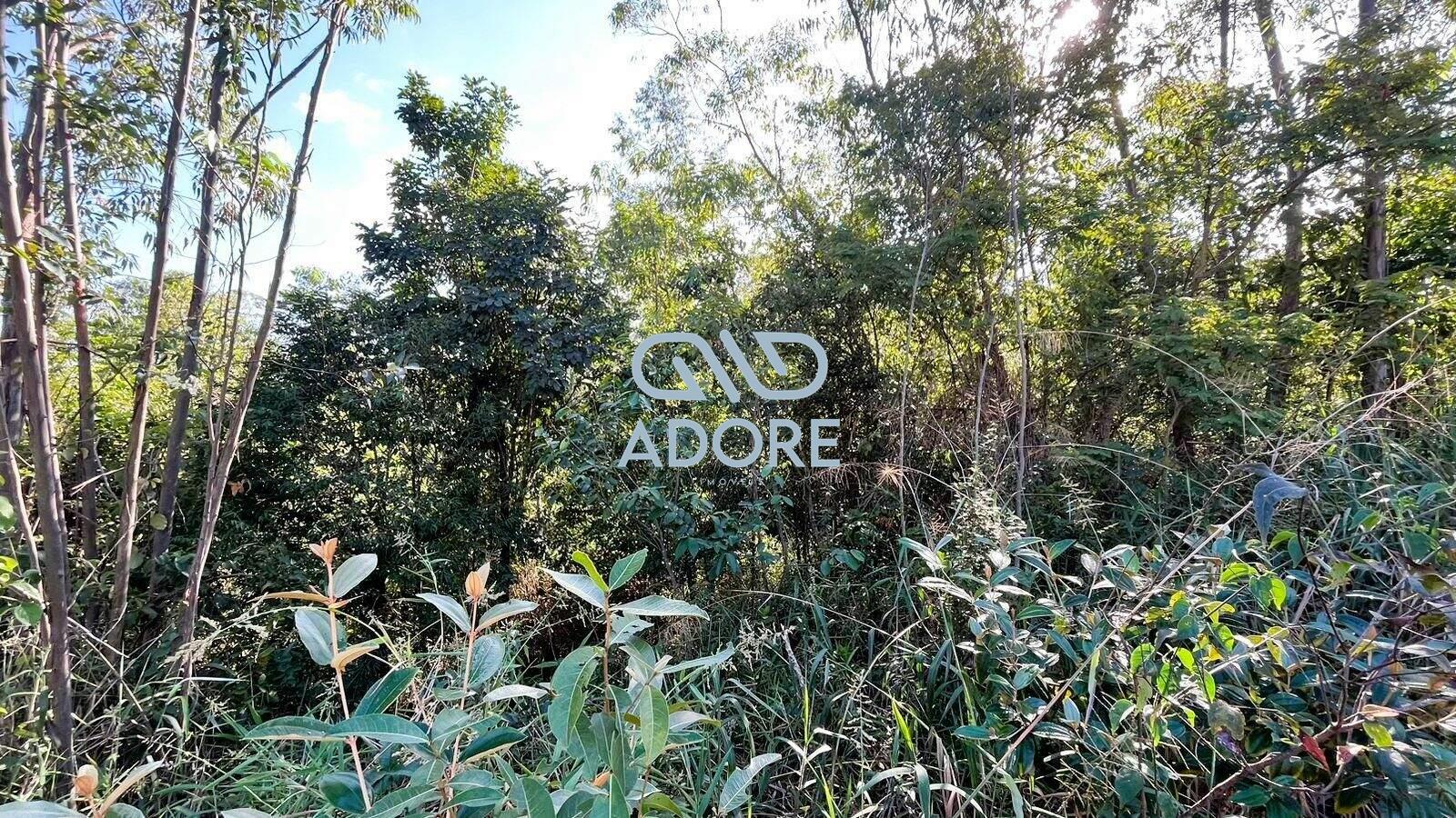 Terreno à venda no Condomínio Terras de São José II : 