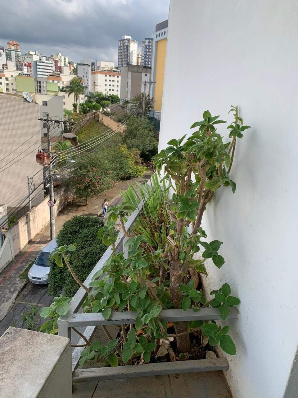 Apartamento à venda no SILVEIRA: 