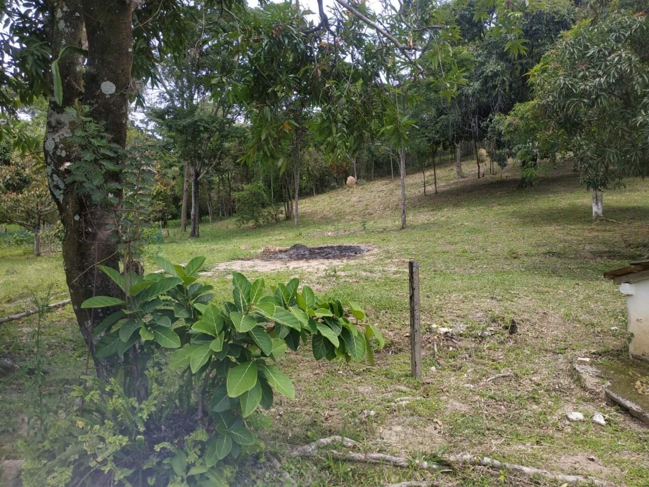 Sítio à venda no Bela Vista: 