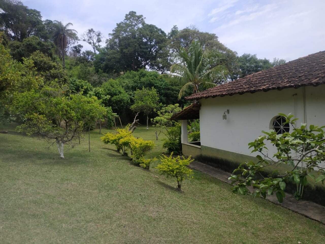Sítio à venda no Bela Vista: 