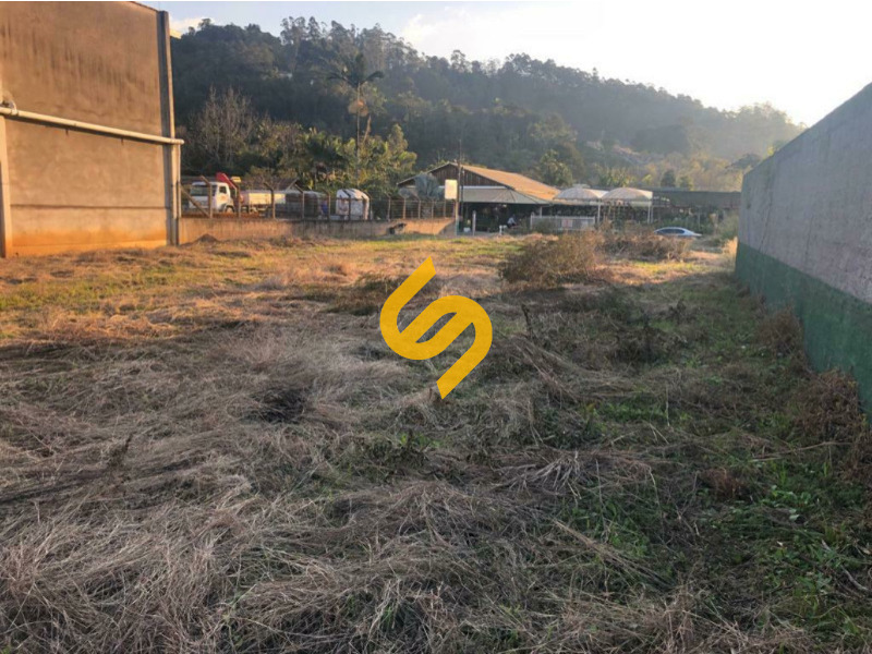 Terreno Urbano para aluguel no Centro: 