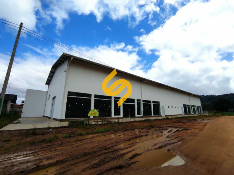 Galpão para aluguel no Primavera: 