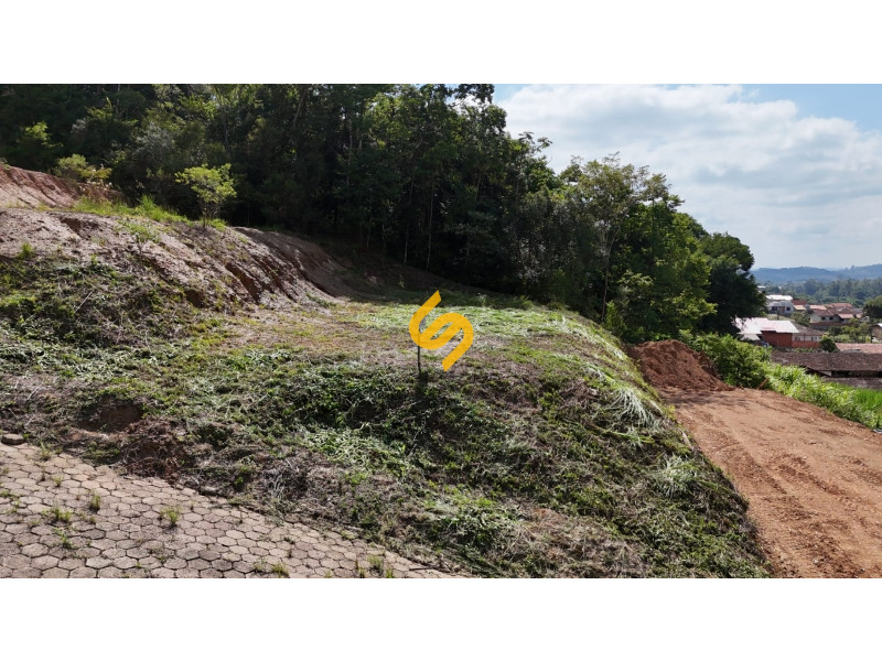 Terreno Urbano à venda no Pinheiro: 