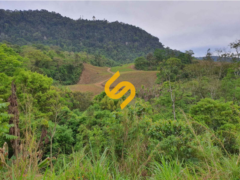 Área Rural à venda no Mirador: 