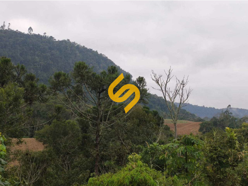 Área Rural à venda no Mirador: 