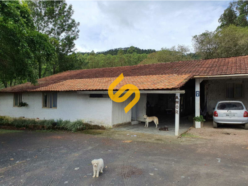 Área Rural à venda no Volta Grande: 