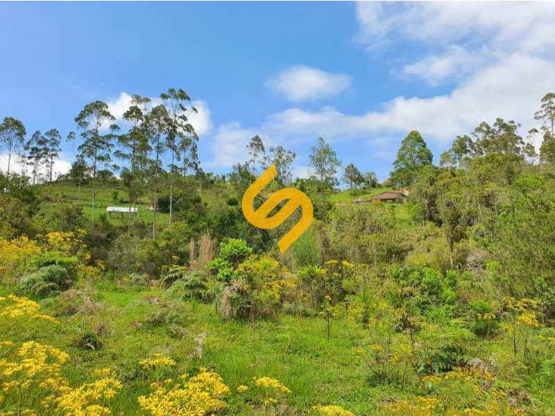 Área Rural à venda no Estrada Geral: 