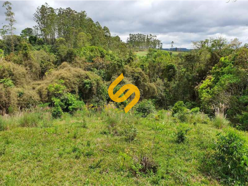 Área Rural à venda no Estrada Geral: 