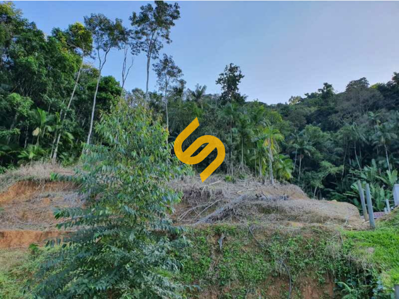 Terreno Urbano à venda no Centro: 