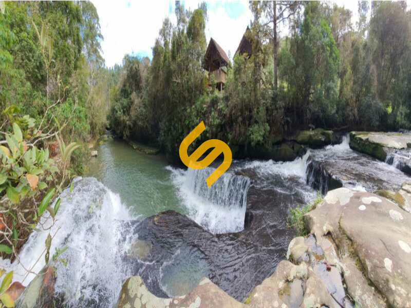 Área Rural à venda no Rio Weigand: 