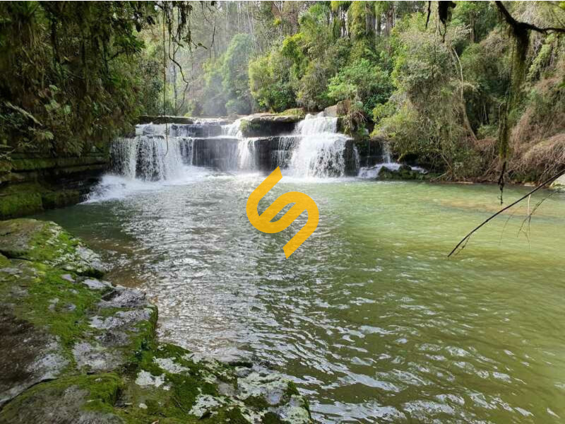 Área Rural à venda no Rio Weigand: 