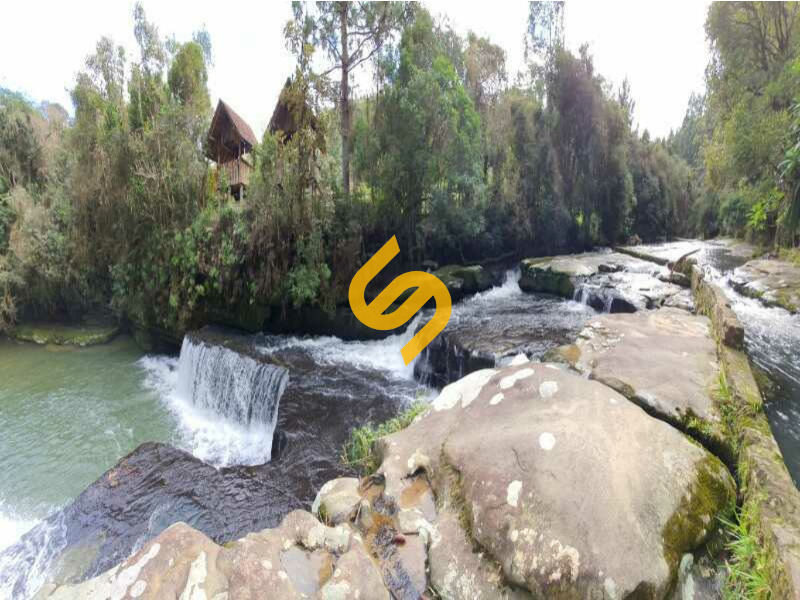 Área Rural à venda no Rio Weigand: 