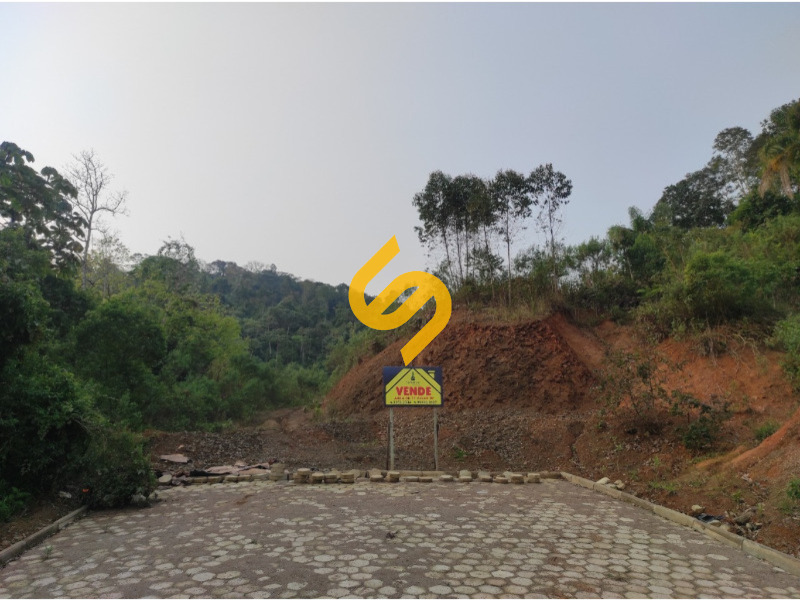 Terreno Urbano à venda no Pinheiro: 