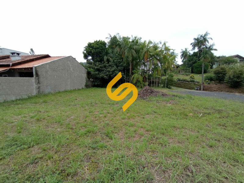 Terreno Urbano à venda no Pinheiro: 