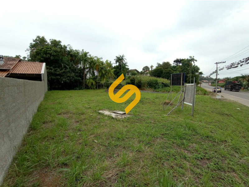 Terreno Urbano à venda no Pinheiro: 