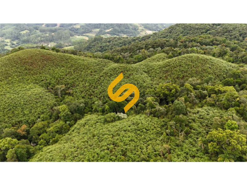 Área Rural à venda no Wiegand: 