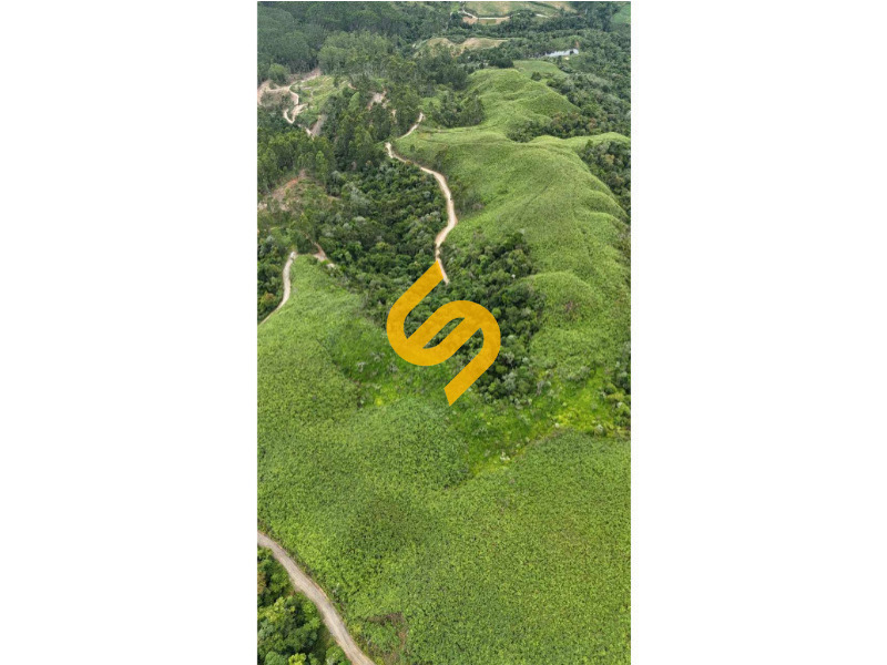 Área Rural à venda no Wiegand: 