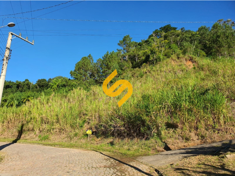 Terreno Urbano à venda no Ribeirão Taquaras: 