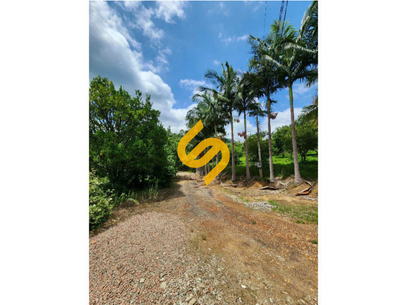 Área Rural à venda no Ribeirão Sabiá: 