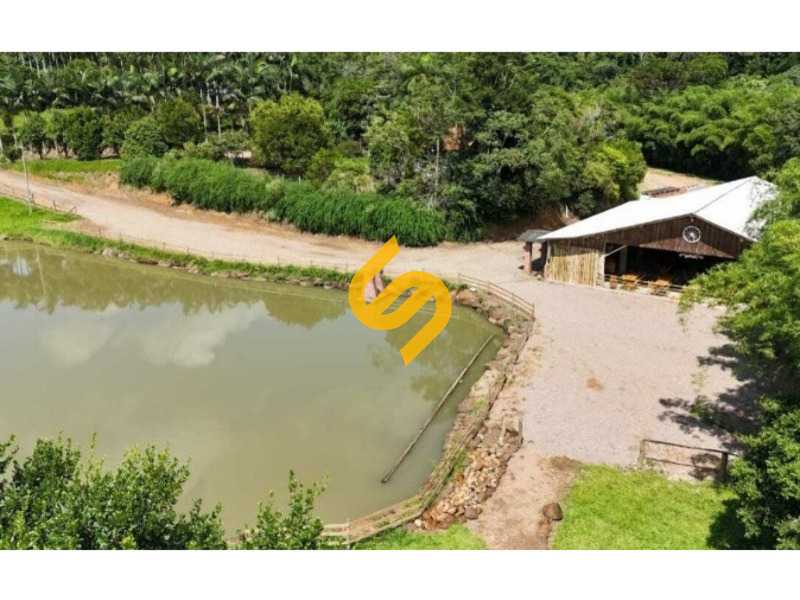 Área Rural à venda no Ribeirão Sabiá: 