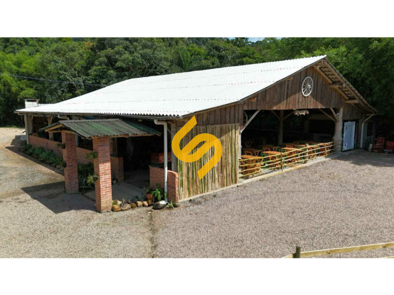 Área Rural à venda no Ribeirão Sabiá: 