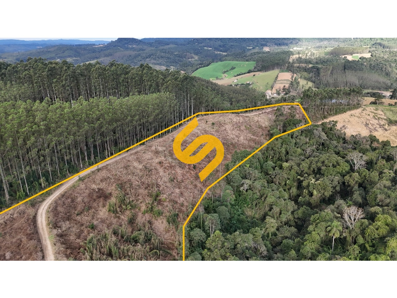 Área Rural à venda no Ribeirão do Tigre: 