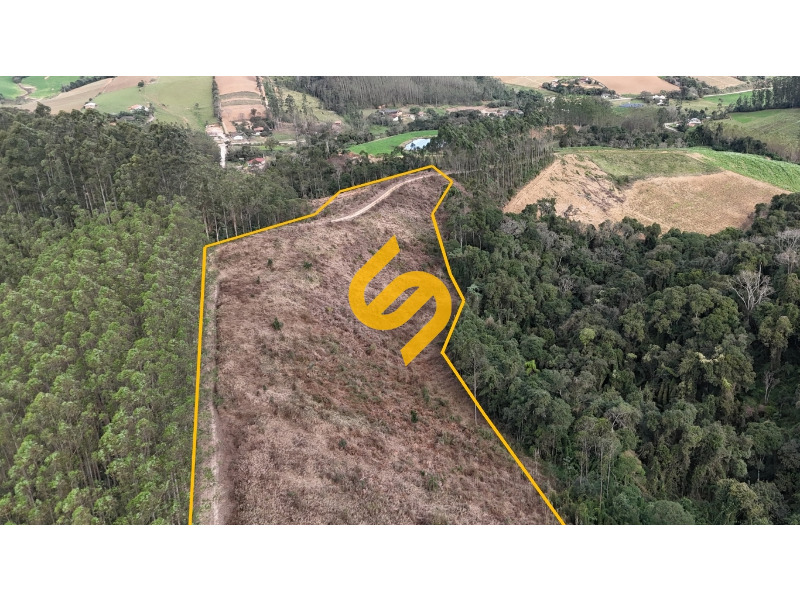 Área Rural à venda no Ribeirão do Tigre: 