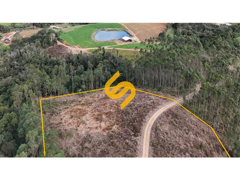 Área Rural à venda no Ribeirão do Tigre: 