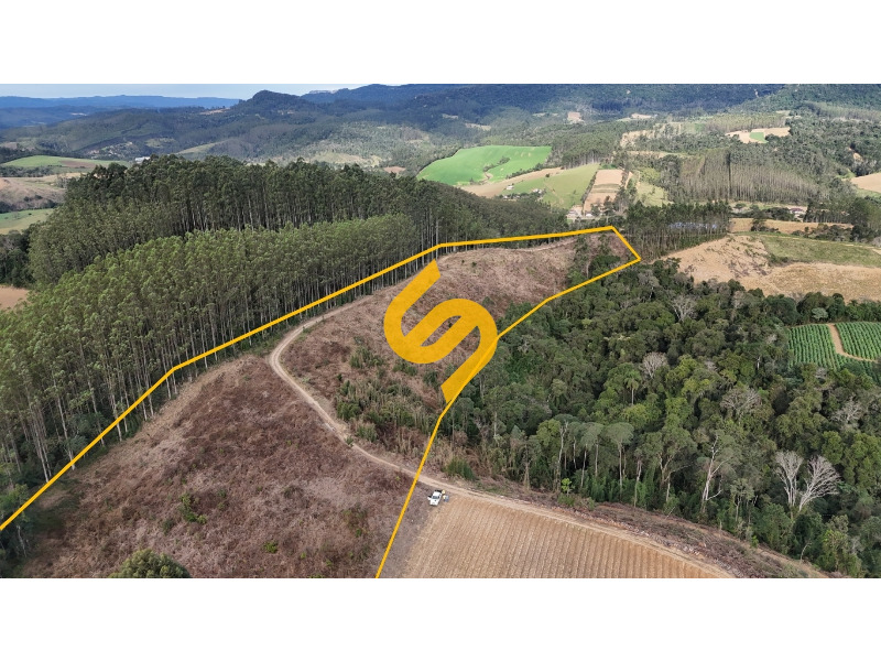 Área Rural à venda no Ribeirão do Tigre: 