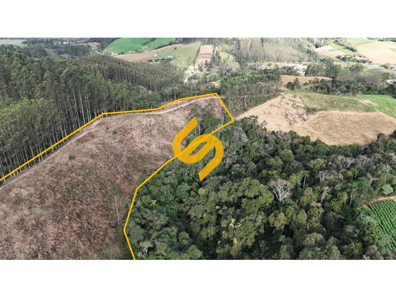 Área Rural à venda no Ribeirão do Tigre: 