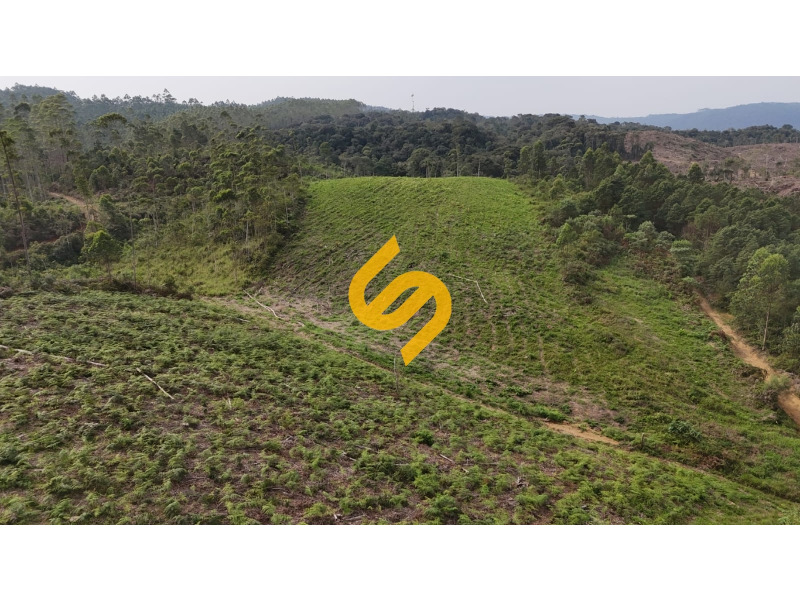 Área Rural à venda no Dalbérgia: 