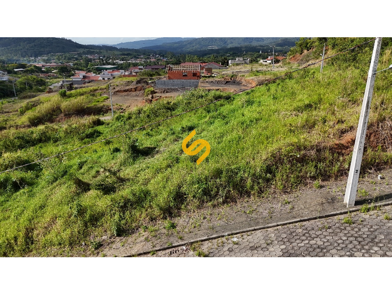 Terreno Urbano à venda no Primavera: 