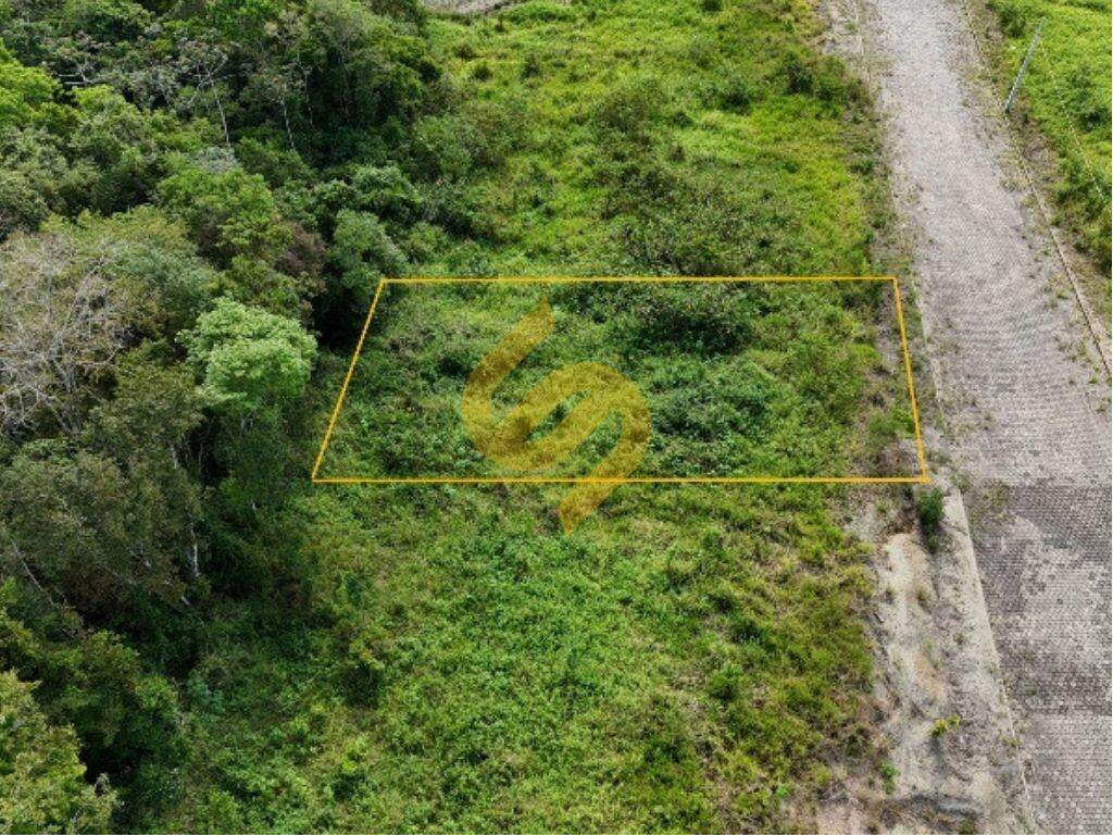 Terreno Urbano à venda no Primavera: 