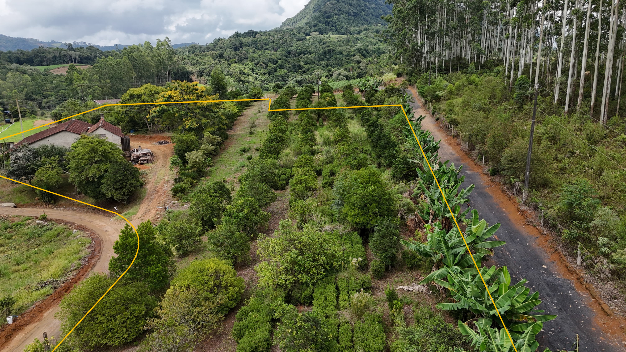Terreno Urbano à venda no Centro: 