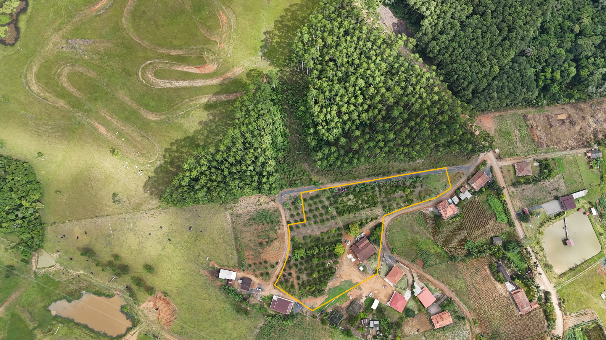 Terreno Urbano à venda no Centro: 