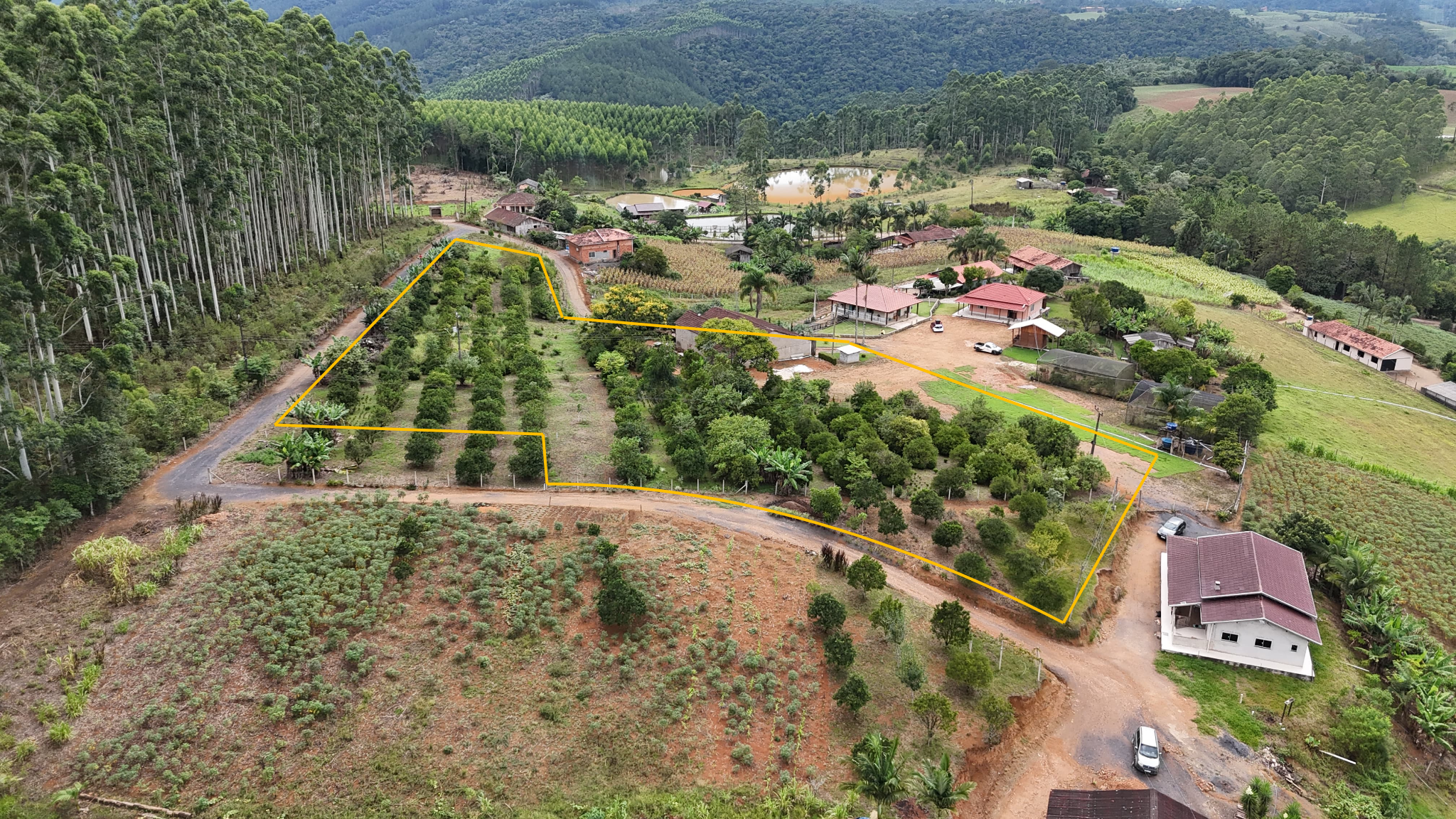 Terreno Urbano à venda no Centro: 